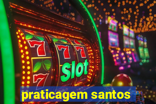 praticagem santos